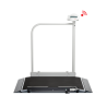 BASCULA DIGITAL DE PLATAFORMA 360KG DIV 100G TARA – BM676